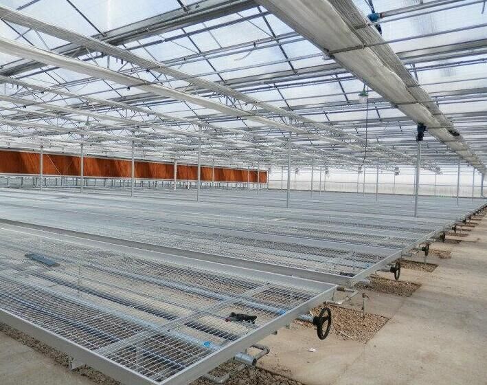 <a href='/' target='_blank'>育苗網廠家</a>