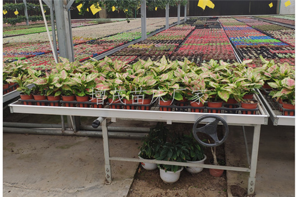 1559090287160649.jpg IMG_20190508_170951_副本.jpg