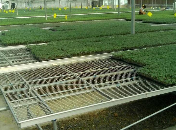 <a href='http://www.banos10china.com/miaochuangsheshi/199.html'target='_blank'><a href='http://www.banos10china.com/miaochuangsheshi/199.html'target='_blank'><a href='http://www.banos10china.com/miaochuangsheshi/199.html'target='_blank'>育苗床</a></a></a>.jpg