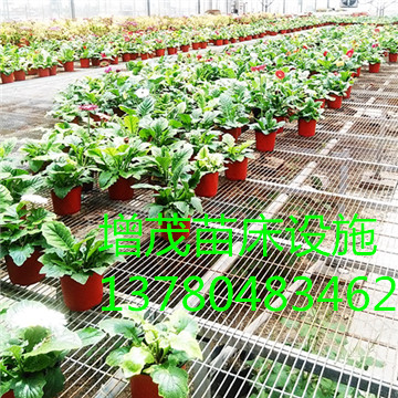 移動<a href='/' target='_blank'>苗圃網(wǎng)</a>